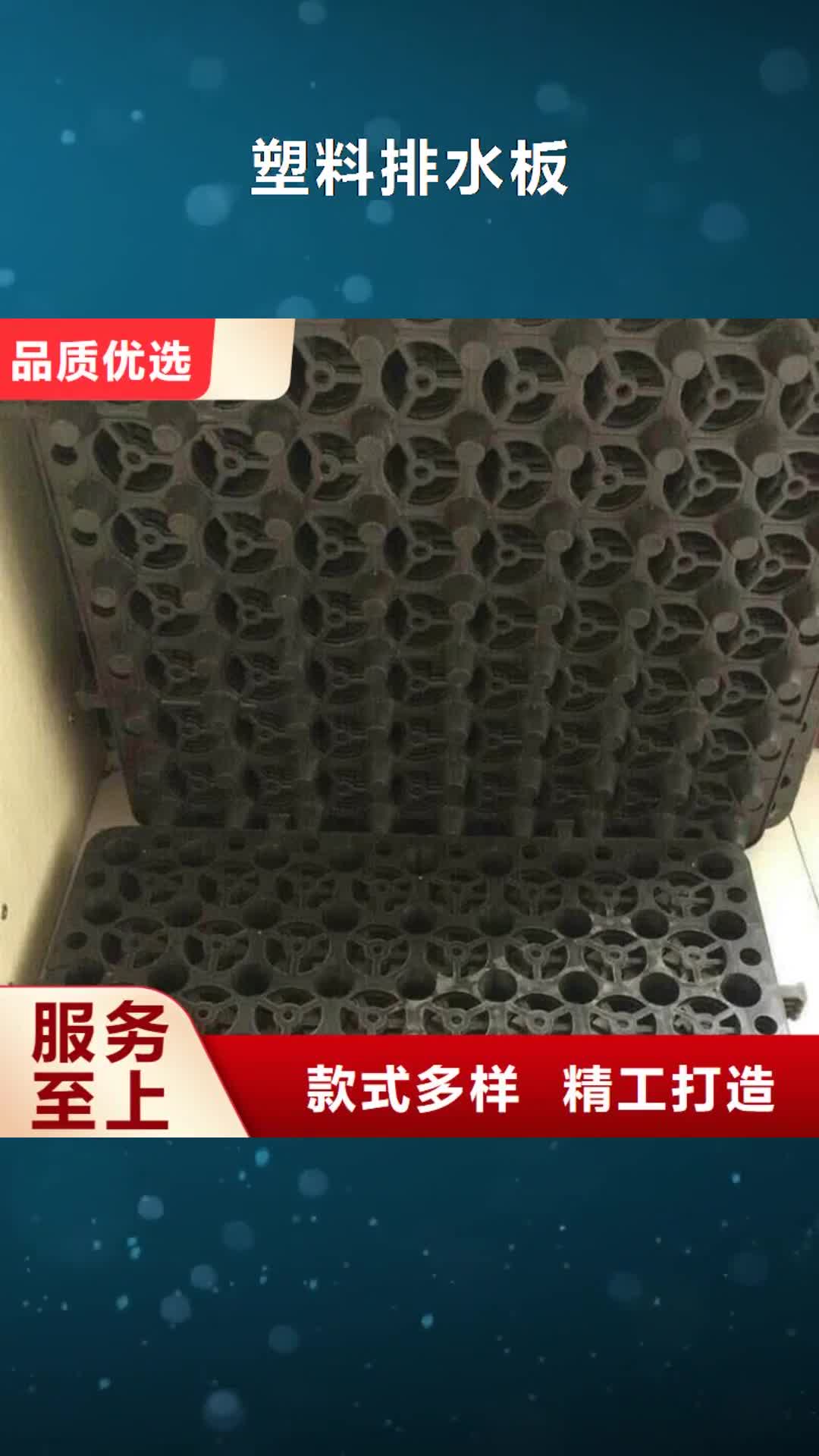 丽江【塑料排水板】三维水土保护毯可定制