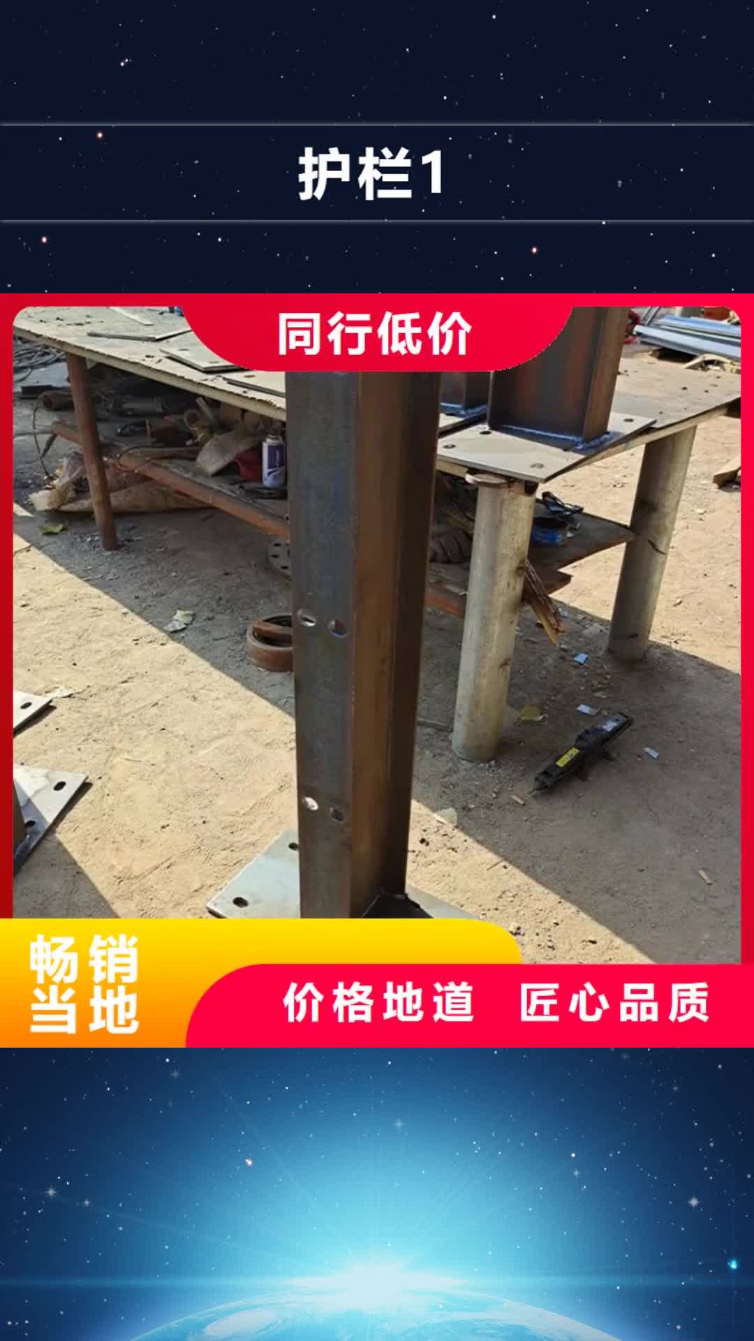 梅州【护栏1】_桥梁护栏厂实体厂家支持定制