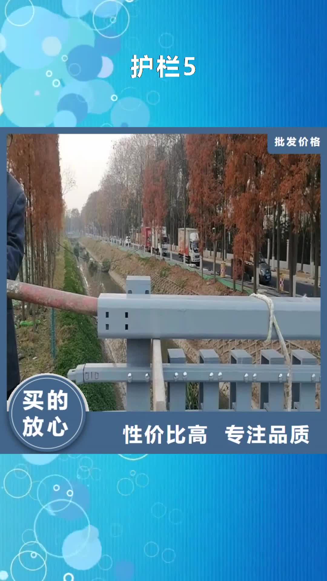 【德宏 护栏5_桥梁护栏厂家专注生产N年】