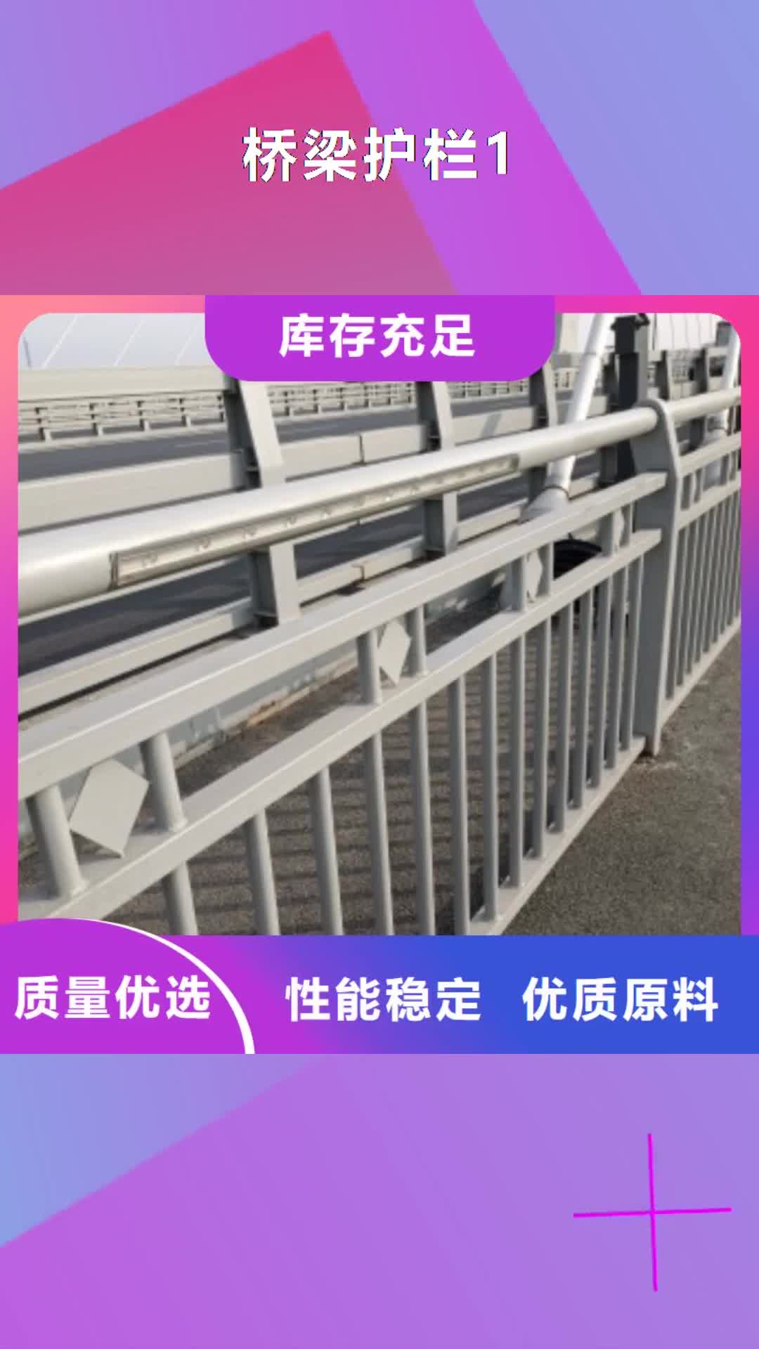白银 桥梁护栏1_【镀锌管喷塑护栏】满足客户所需