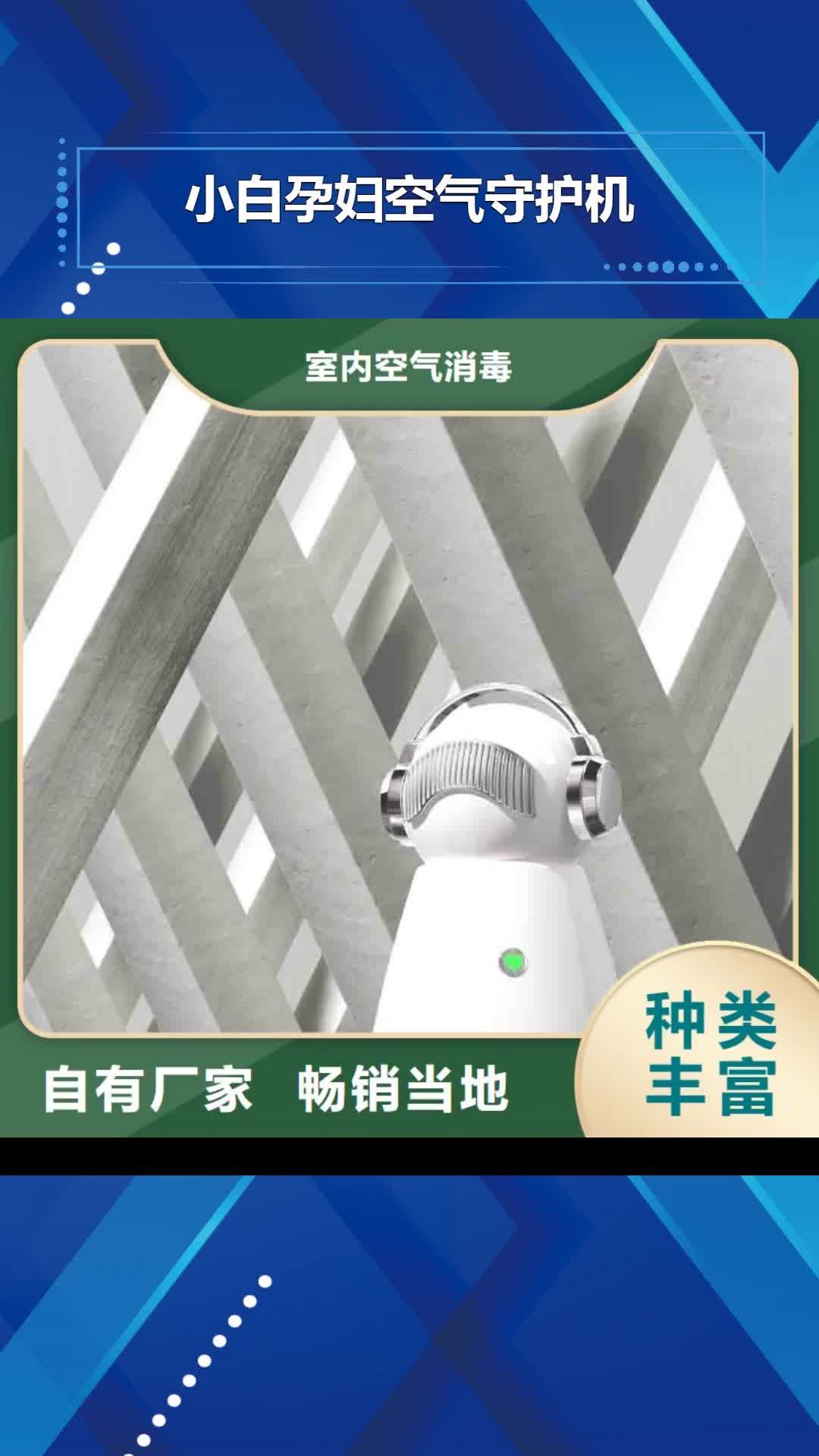 呼倫貝爾 小白孕婦空氣守護(hù)機(jī),【室內(nèi)消毒】快捷的物流配送