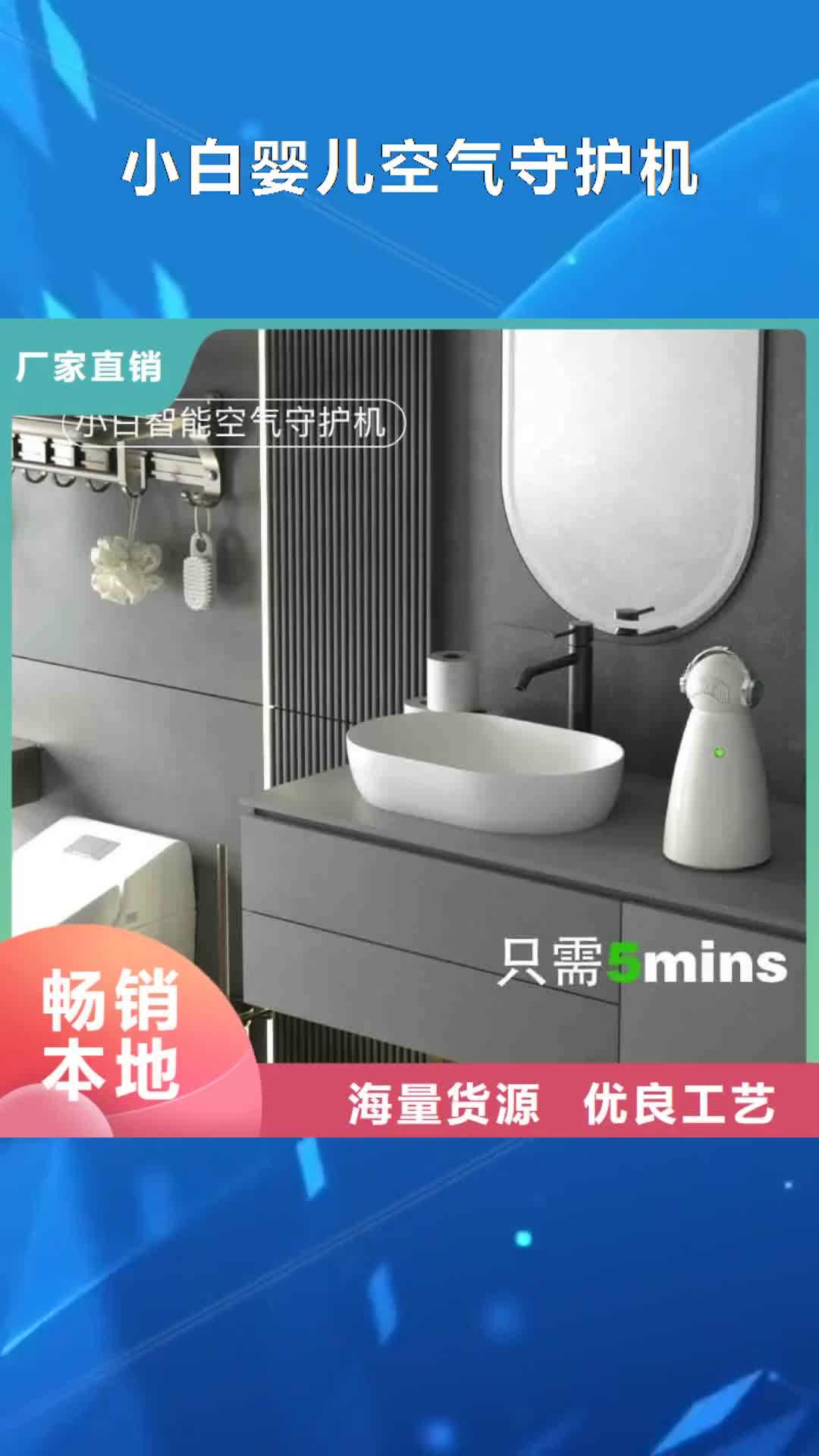十堰 小白嬰兒空氣守護(hù)機(jī)_【小白祛味王】貨源足質(zhì)量好