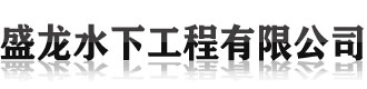 [福田]盛龙水下堵漏封堵作业打捞切割焊接潜水救援工程