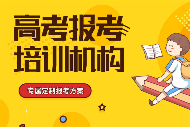 传媒艺考生高考志愿填报辅导机构更多详情点击厂家直销售后完善