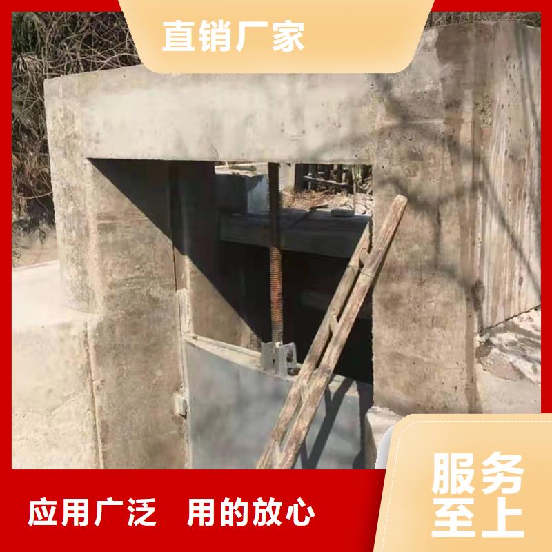 双向止水闸门-专注研发厂家规格全