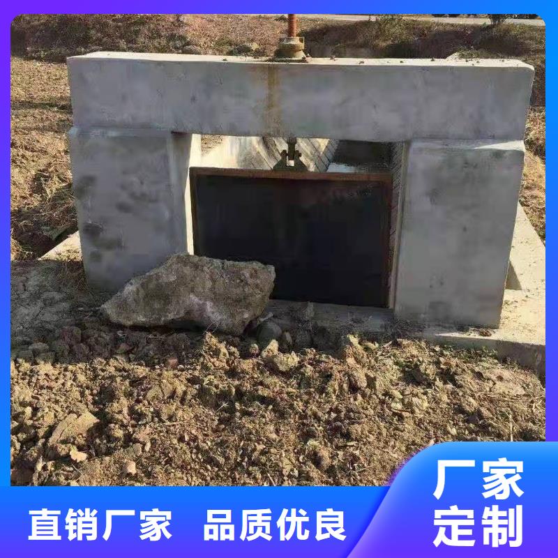 河道铸铁闸门-欢迎新老客户实地考察制造厂家