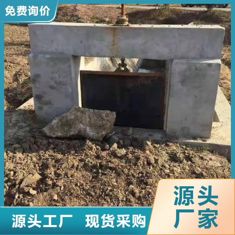 找水电站铸铁闸门厂家直销货源足质量好