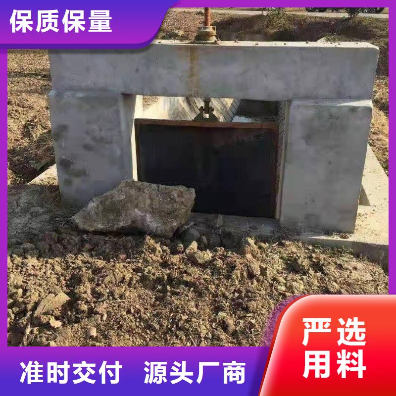 供应批发手提铸铁闸门-口碑好附近公司