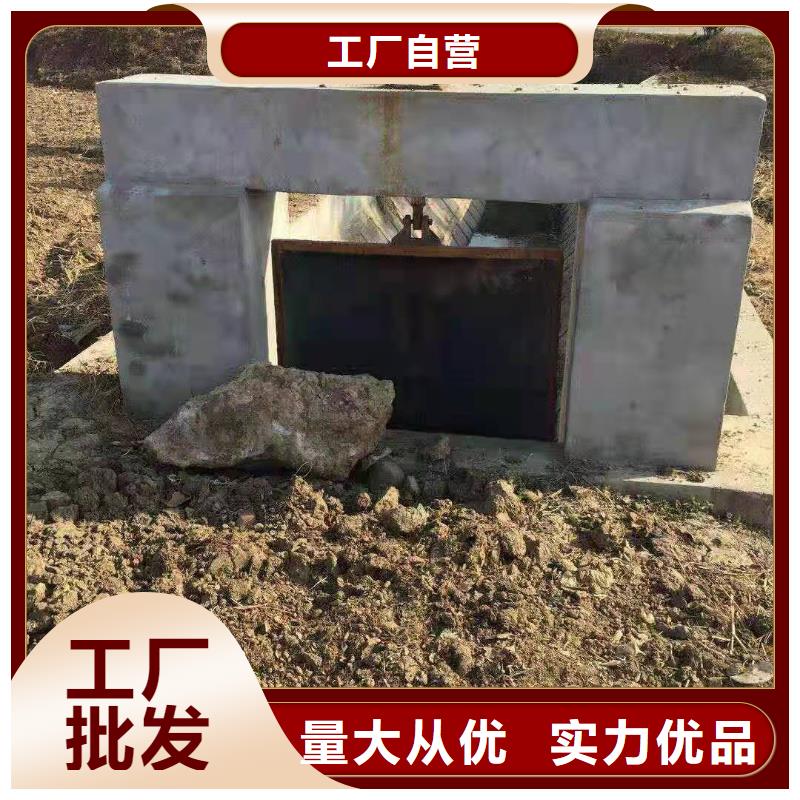 铸铁闸门不怕同行比质量本地生产商