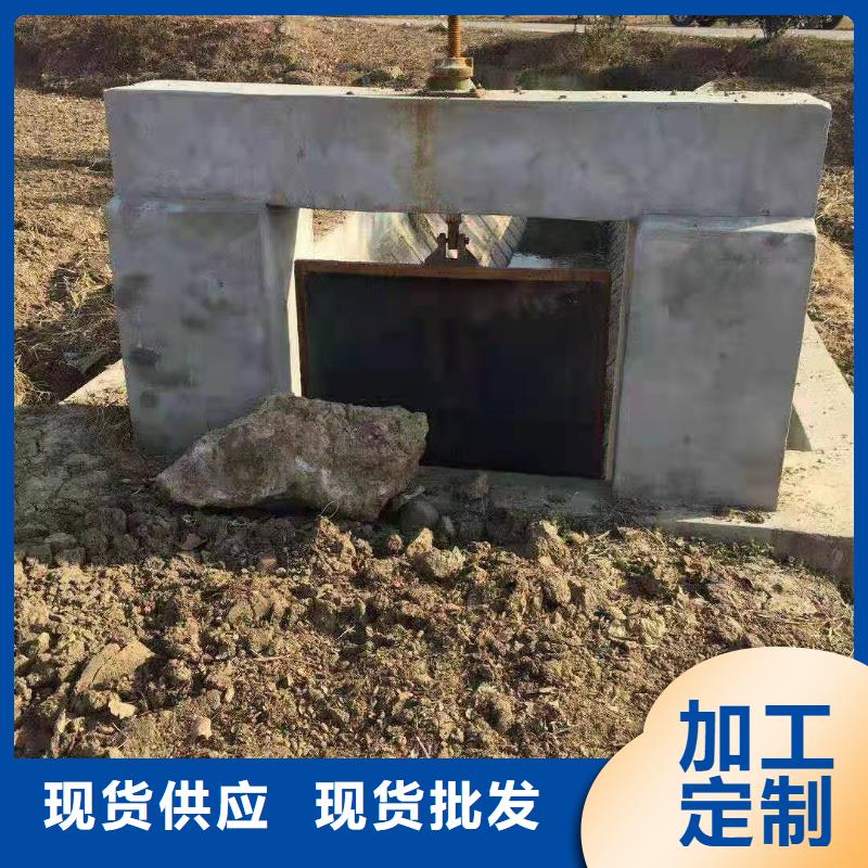 ​扇形闸门实力商家当地生产商